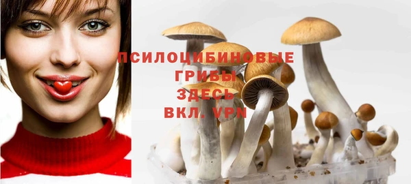 прущий лед Алексин