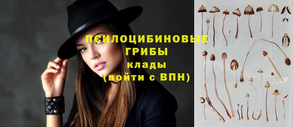 молекула духа Алексеевка